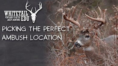 Picking The Perfect Ambush Location