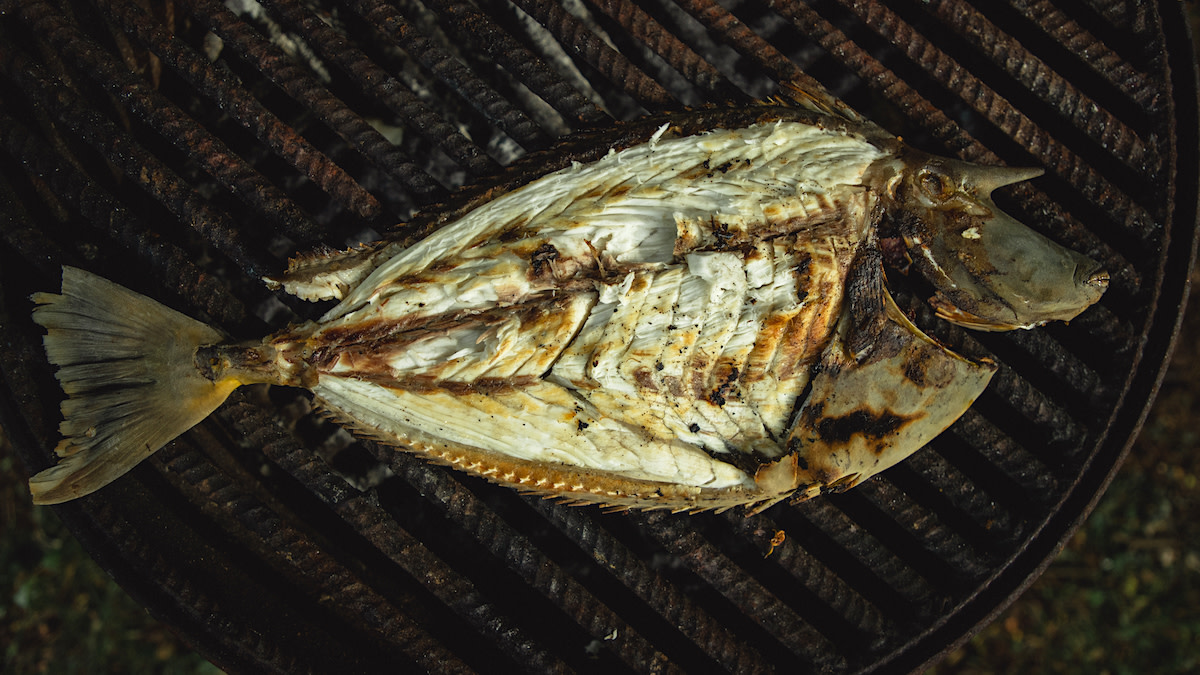 Grilled Kala