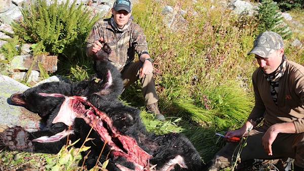 How to Skin Big Game for Taxidermy and Tanning