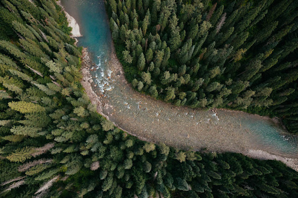 Bull Trout in Northern British Columbia: We Have To Go