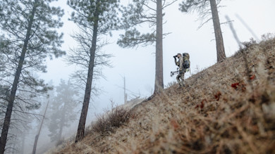 Laid-Off Forest Service Workers Describe Dismal Future for Public Lands