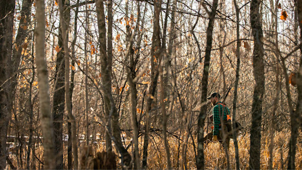 Ask a Warden: What Day Do You Write the Most Tickets?