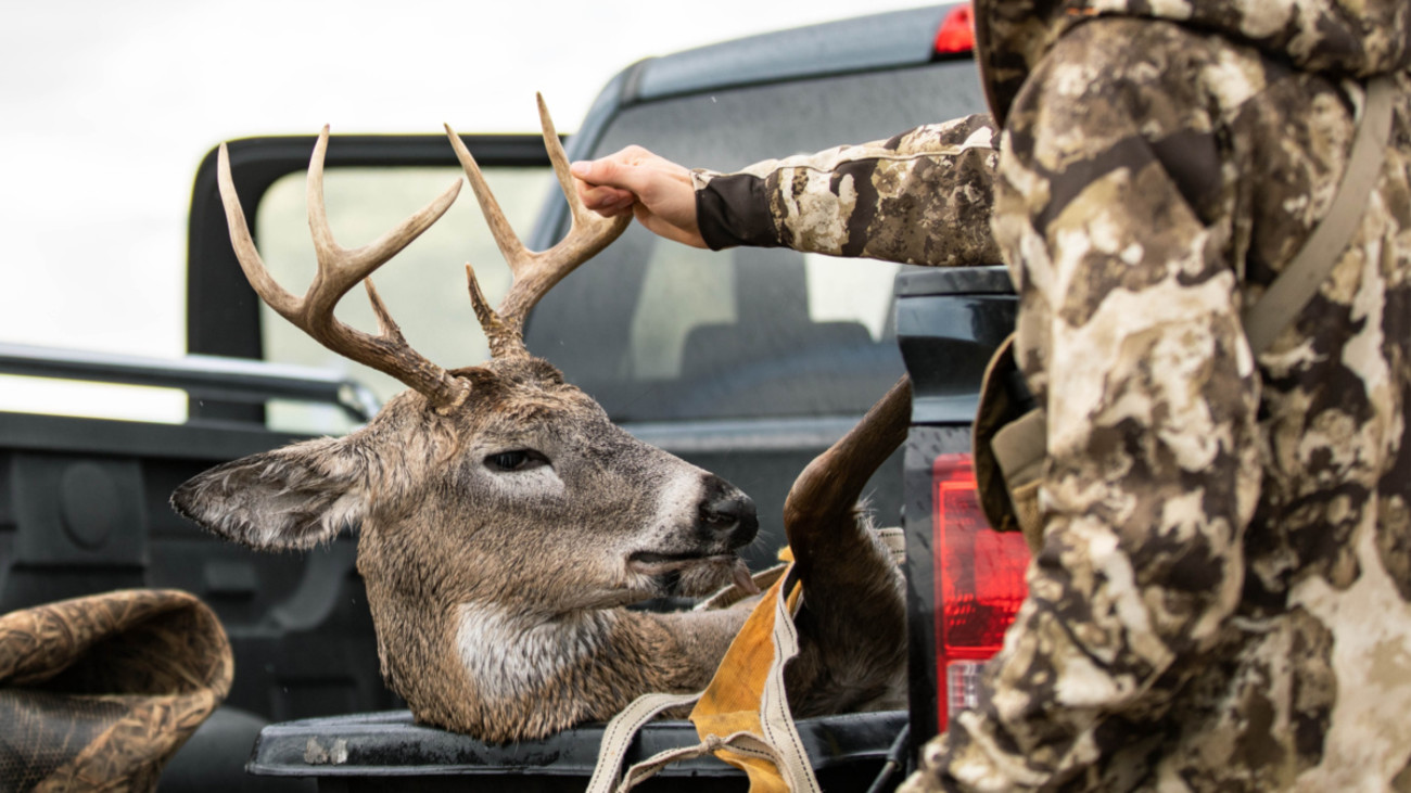 Why I Love to Shoot Young Bucks