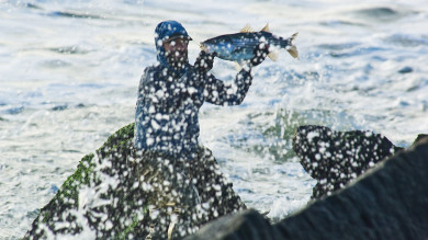 Beach Blitz Basics: How to Fish the Fall Striped Bass Run