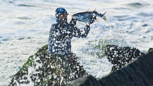 Beach Blitz Basics: How to Fish the Fall Striped Bass Run