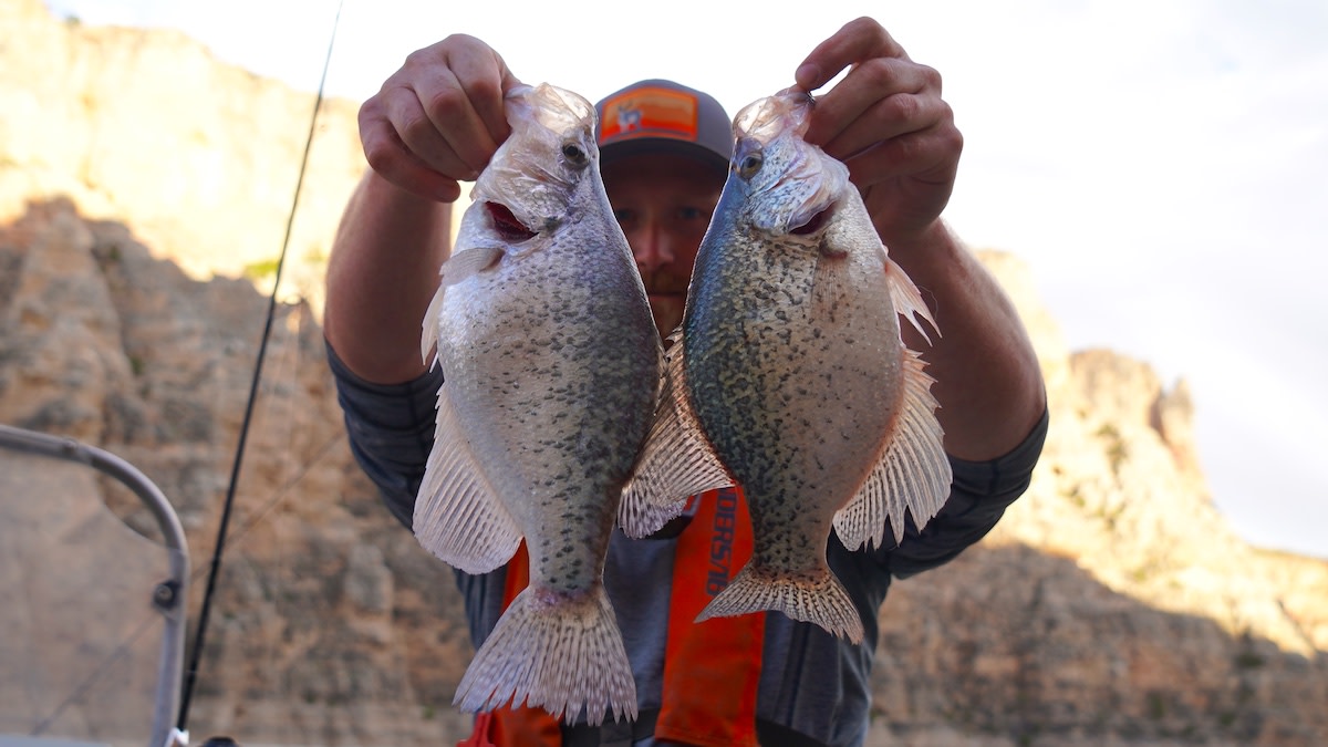 Bank Fishing For Crappie: The best locations for bank fishing for