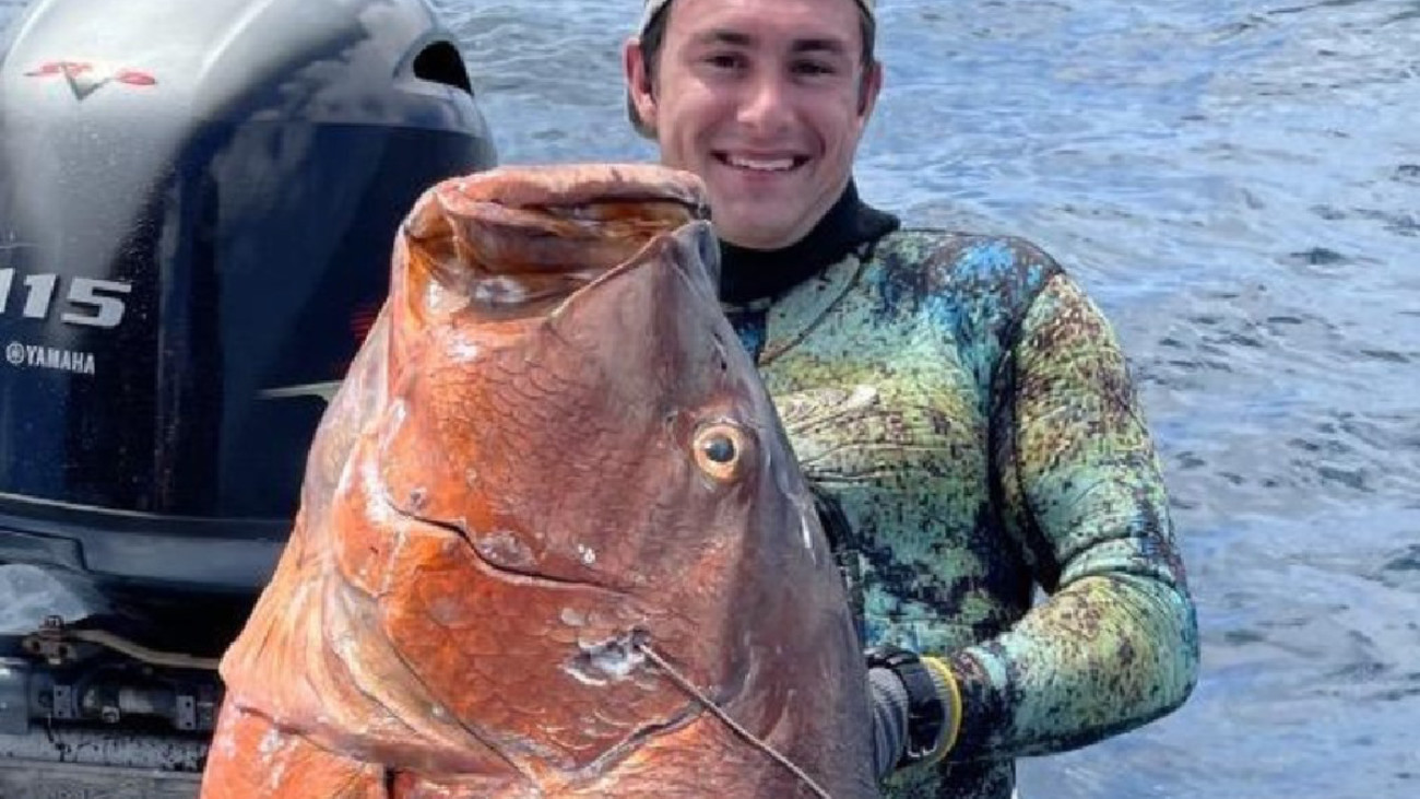 Giant Cubera Snapper Could Break Spearfishing World Record