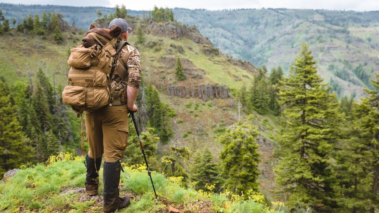 Will Washington State Hunters Reclaim Their Spring Bear Season?