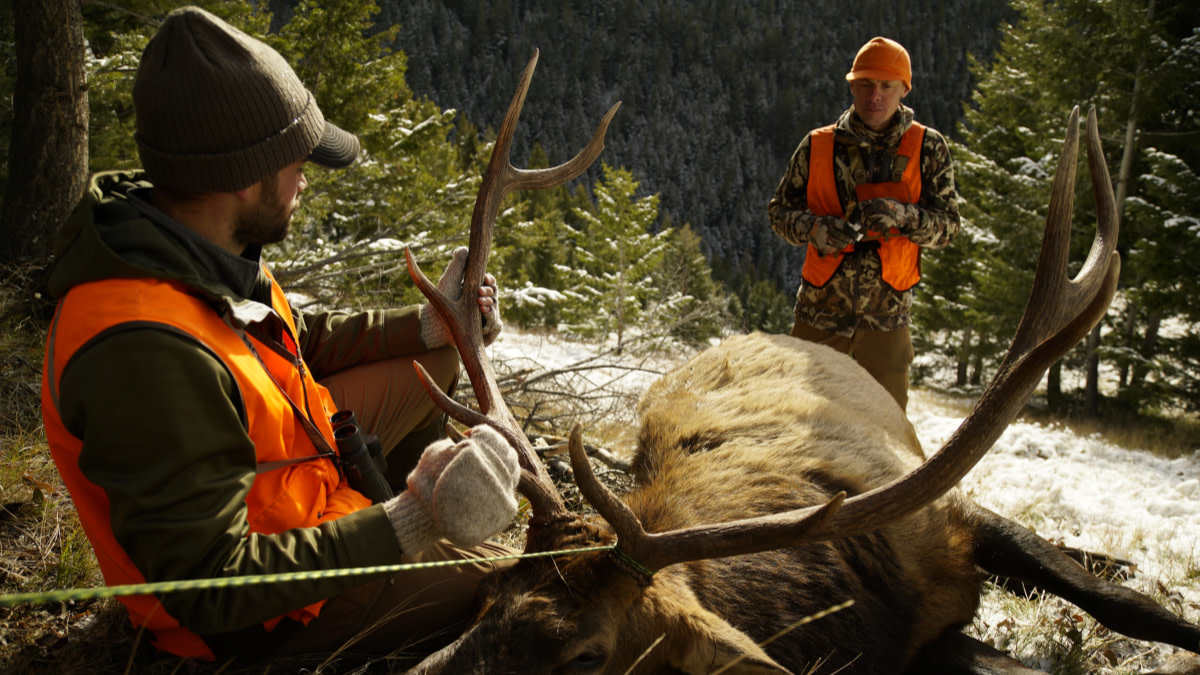 Ask a Warden Why Are Reg Books So Complicated? MeatEater Conservation