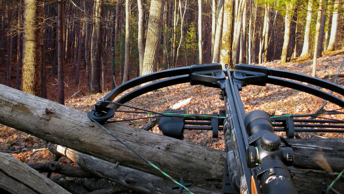 Is Crossbow Hunting Really Archery Hunting?