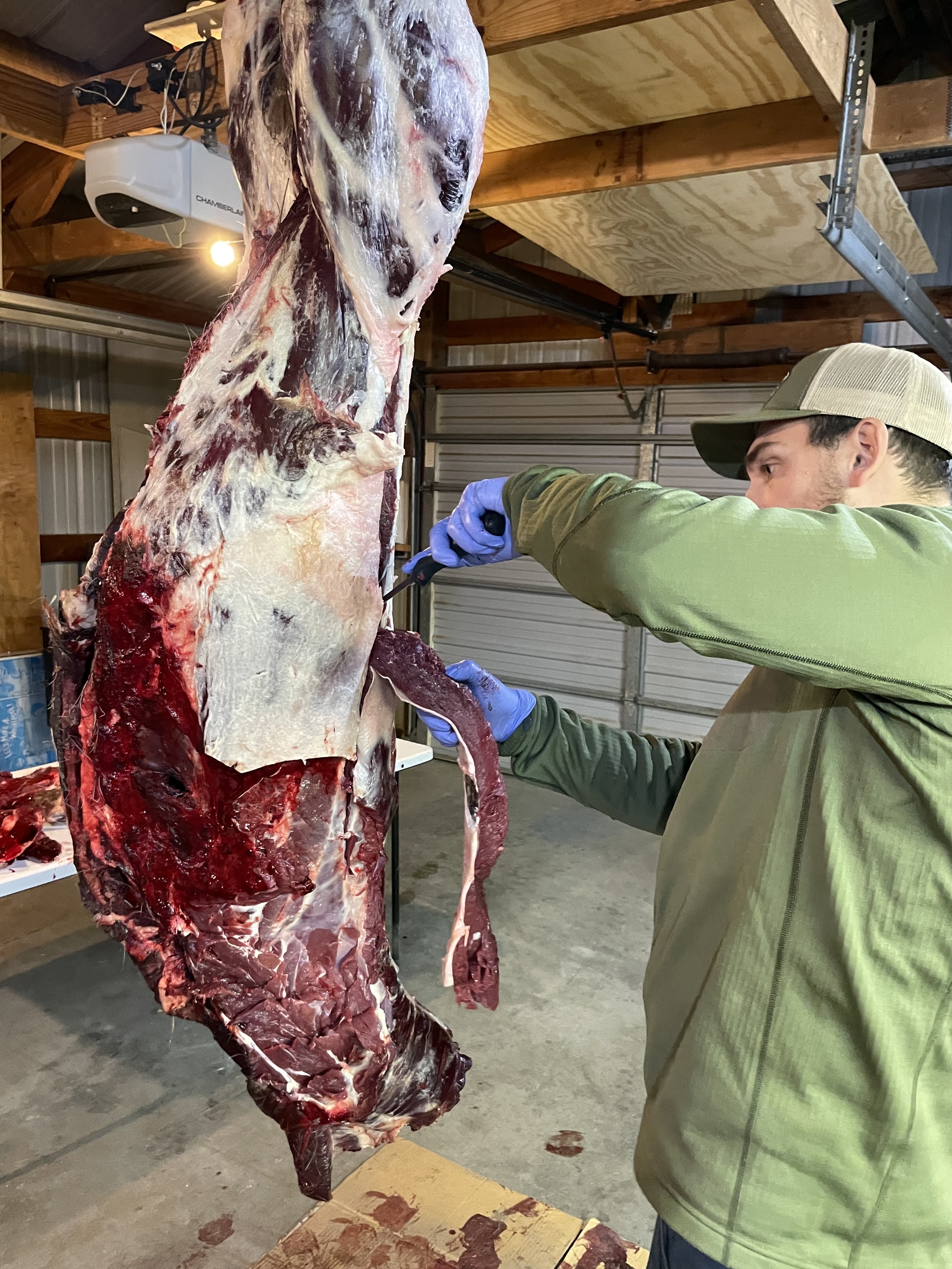Processing First Buck Sage