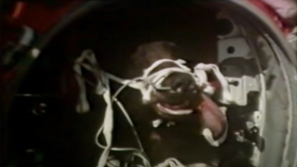 When the Air Force Used Black Bears as Test Pilots