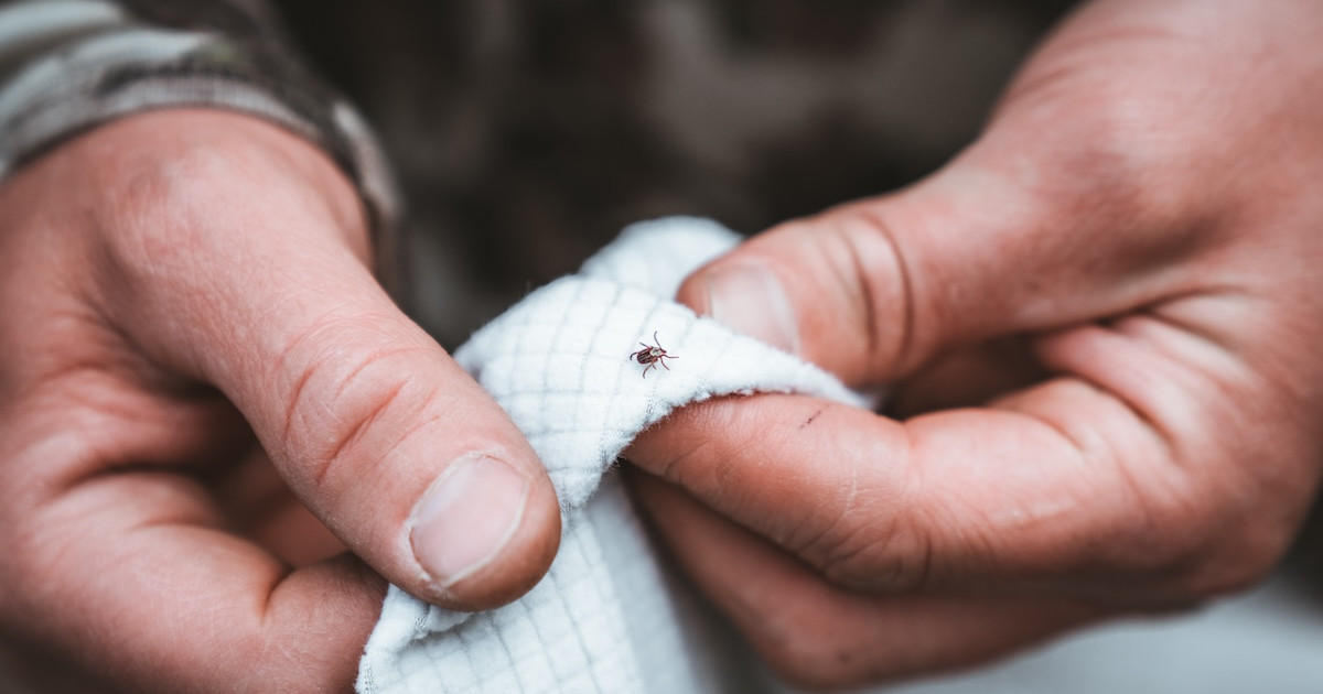 How to Avoid Bites and Stings While Scouting in Warm Weather How to Avoid Bites and Stings While Scouting in Warm Weather