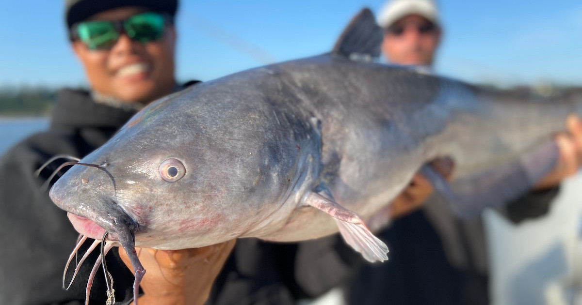 How to Catch Catfish in Rivers | MeatEater Fishing