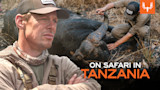 Tanzania Safari