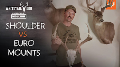 Shoulder VS Euro Mounts