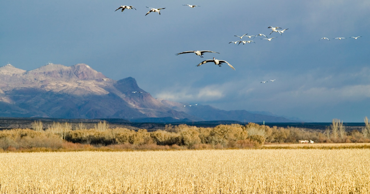 USFWS Director Responds to Questions About National Wildlife Refuge ‘Reviews’ USFWS Director Responds to Questions About National Wildlife Refuge ‘Reviews’