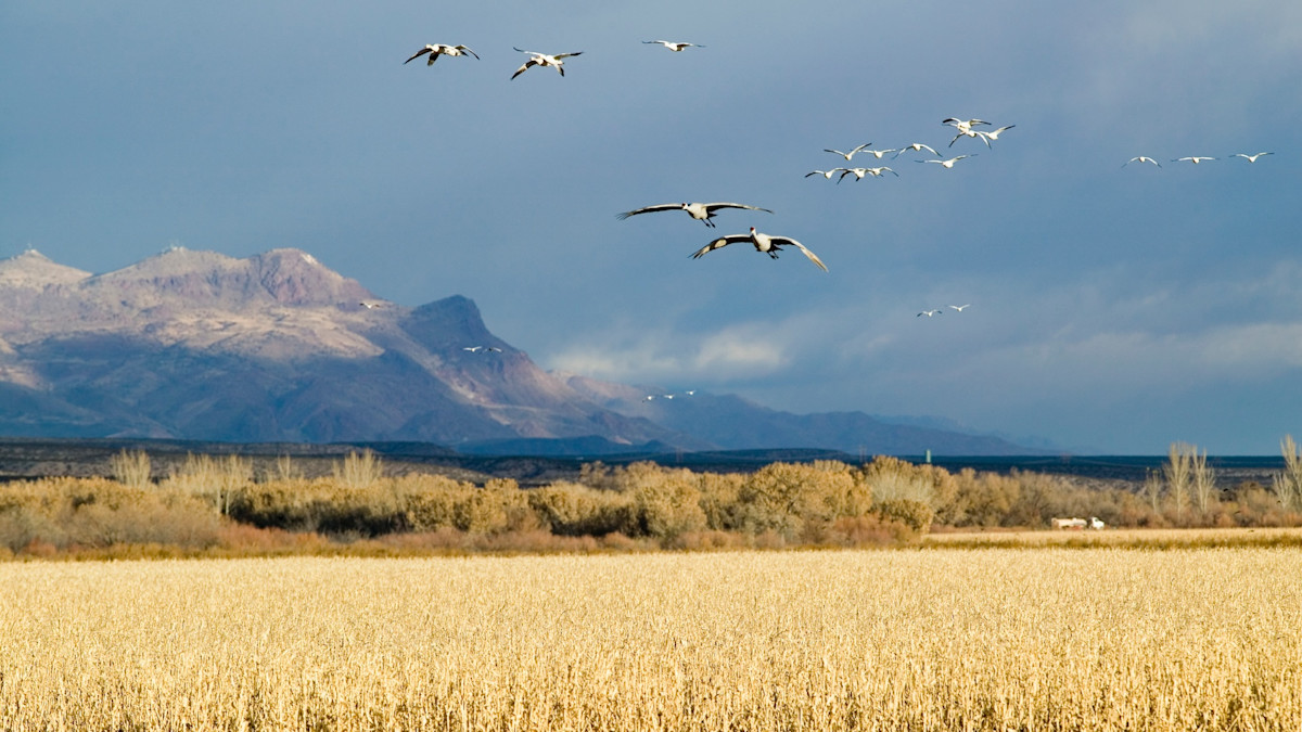 USFWS Director Responds to Questions About National Wildlife Refuge 'Reviews'