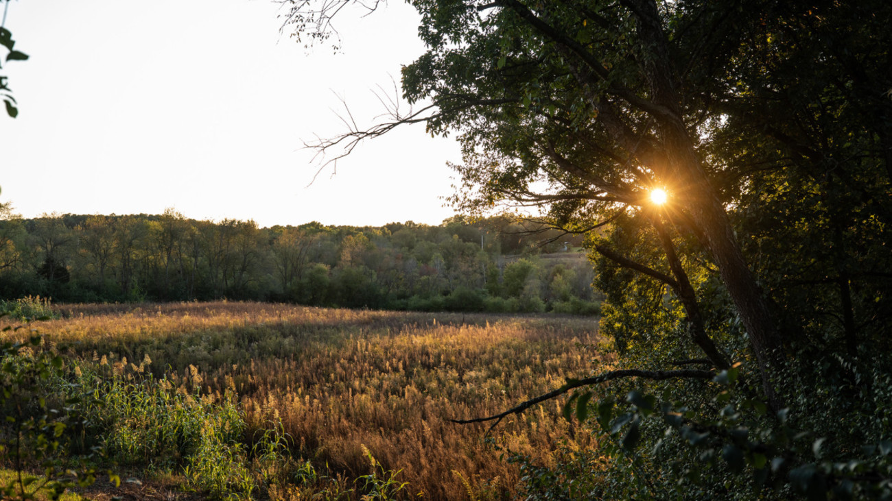 Does a Deer Hunting Lease Make Sense for You?
