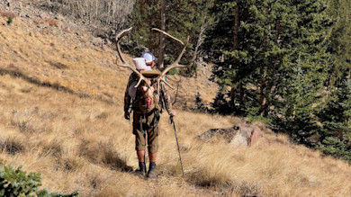 Jani's Gear Shed: Schnee's Boot Review