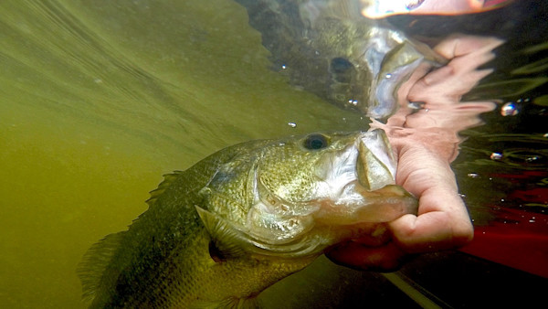 Video: This Hack Will Help You Catch More Fish