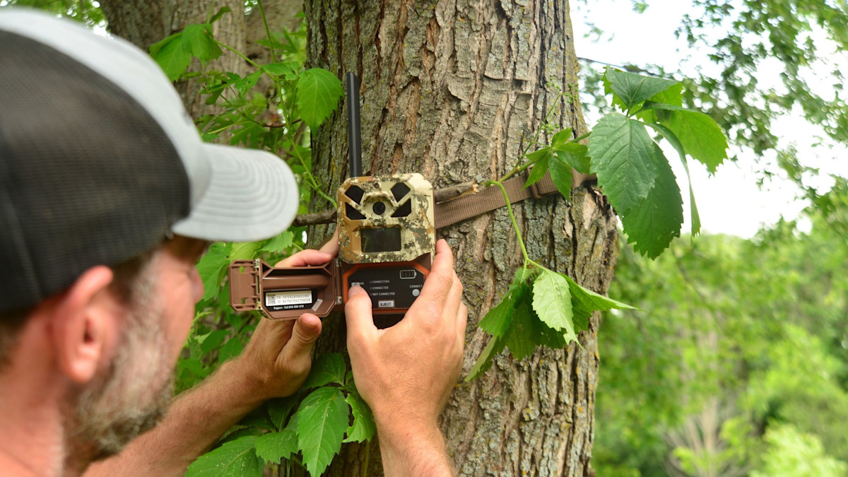 Are Deer Getting Wise to Trail Cameras?