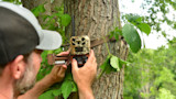 Are Deer Getting Wise to Trail Cameras?