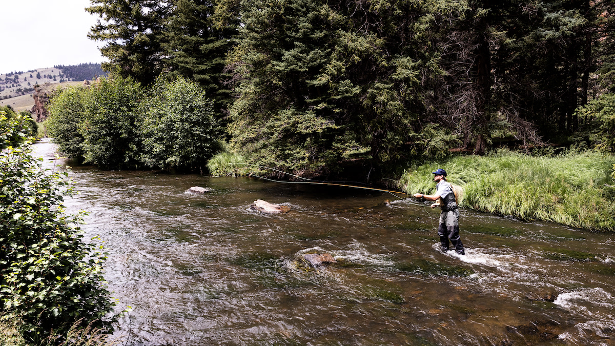 Shooting Line In The Backcast Is A Skill Every Fly Angler Needs