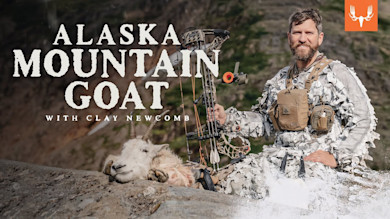 Alaska Archery Mountain Goat