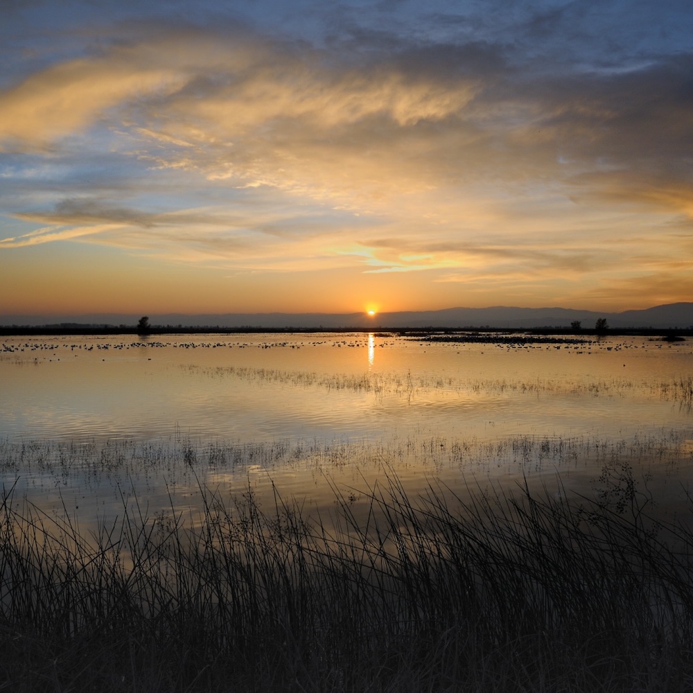 Sacramento National Wildlife Refuge