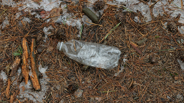 The Plague of America's Wild Spaces