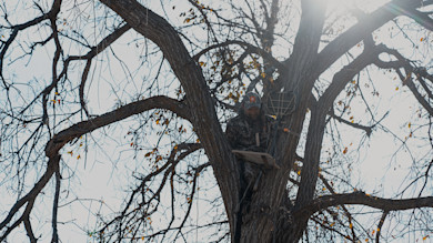 Hunter in camouflage seated on a small tree-seat platform among bare forked branches