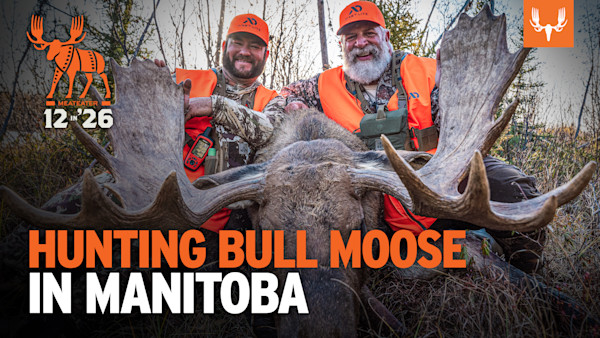 MEP_12n26_YT_BR_MOOSE_2.jpg