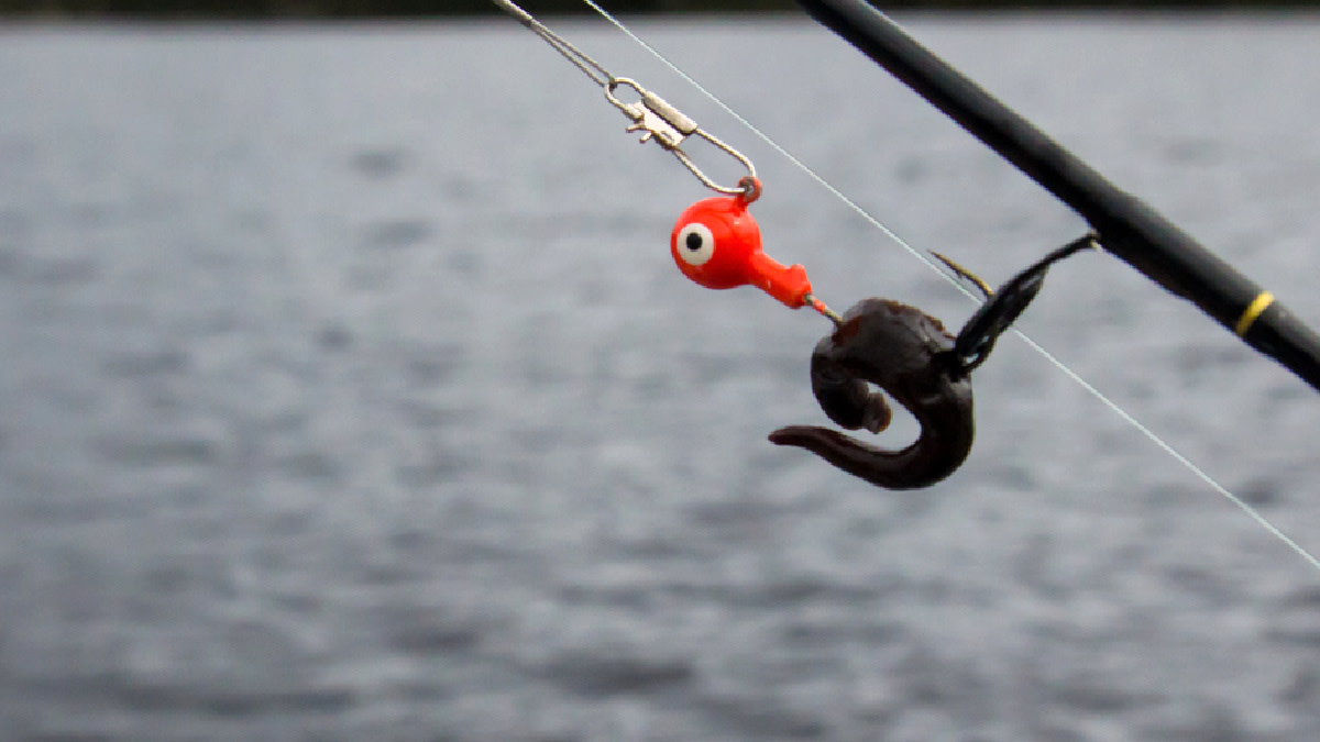 THE LIVEWELL: Best bait for fall fishing