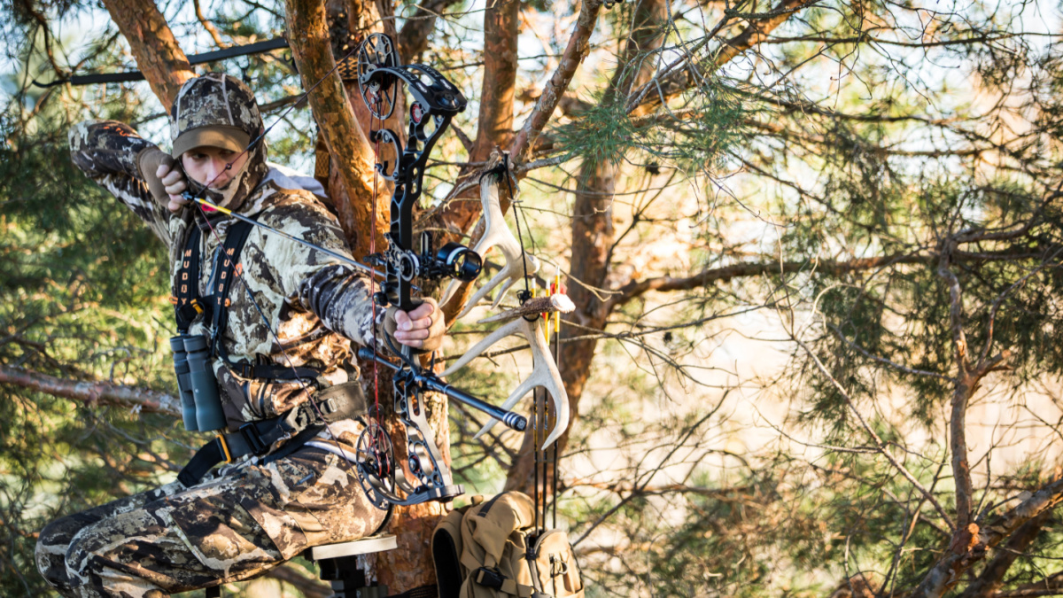 bow arrow hunting