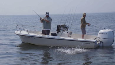 Skyline Stripers with Ryan Callaghan and Joe Cermele