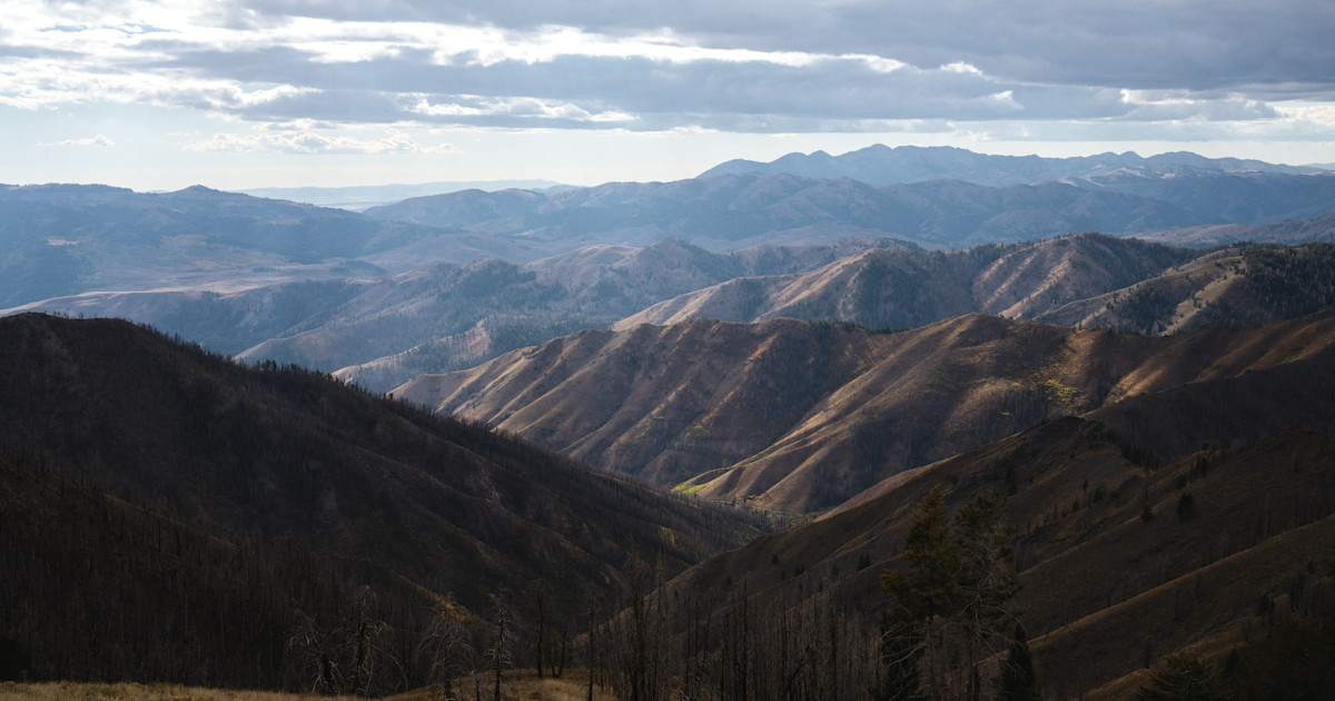 Idaho Restricts Technological Hunting Aids, Increases Lifetime Hunting Residency Requirement Idaho Restricts Technological Hunting Aids, Increases Lifetime Hunting Residency Requirement