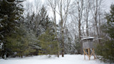 Wooden elevated hunting blind at right in snow-covered clearing with evergreen trees