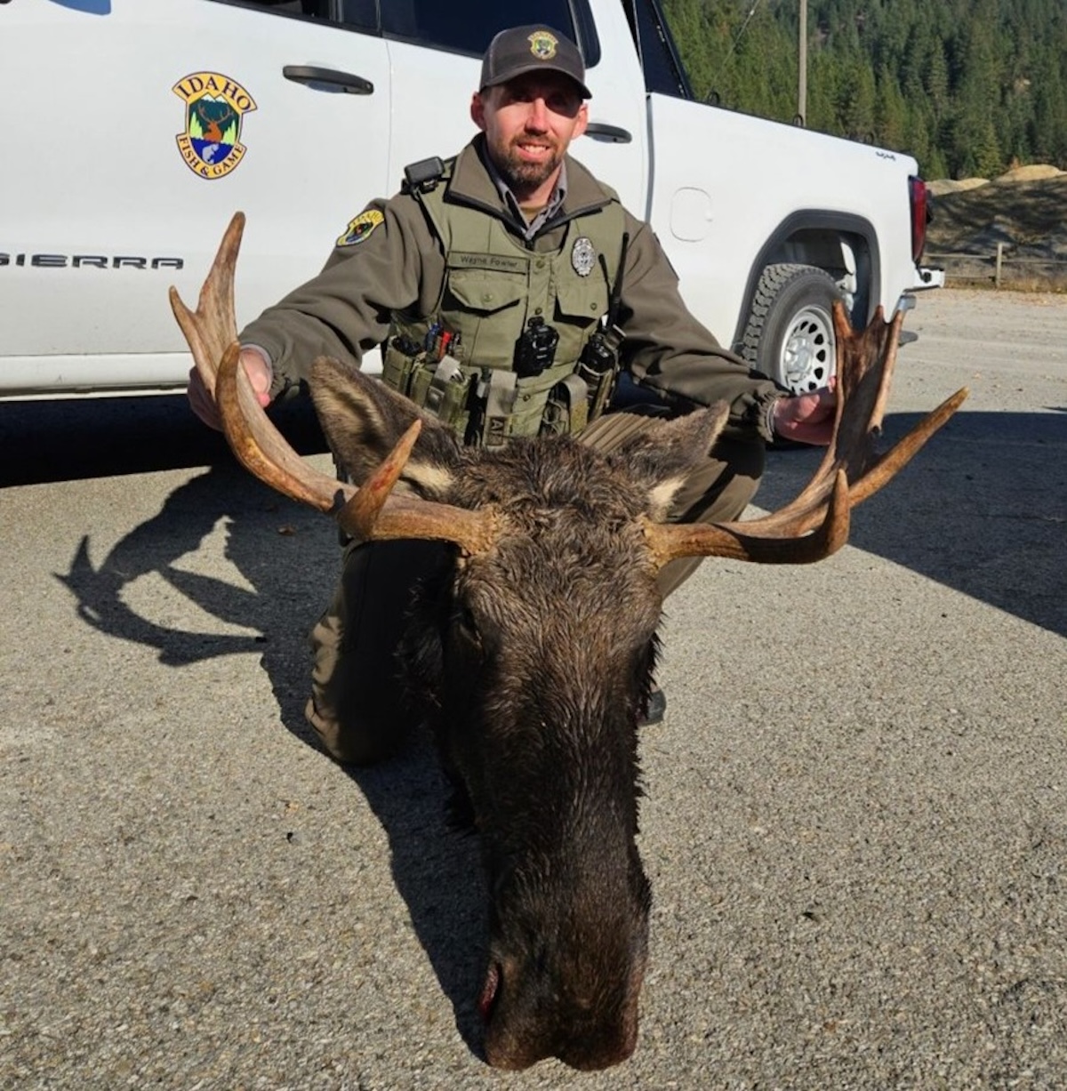 moose head officer