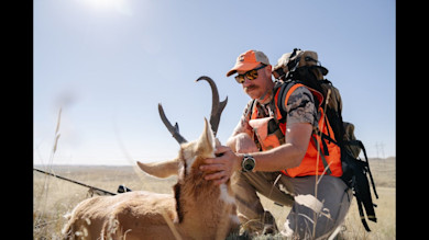 Wyoming Antelope