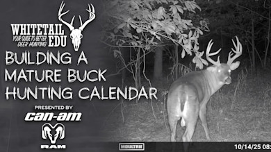 The Secret to Predicting Mature Buck Movement All Season