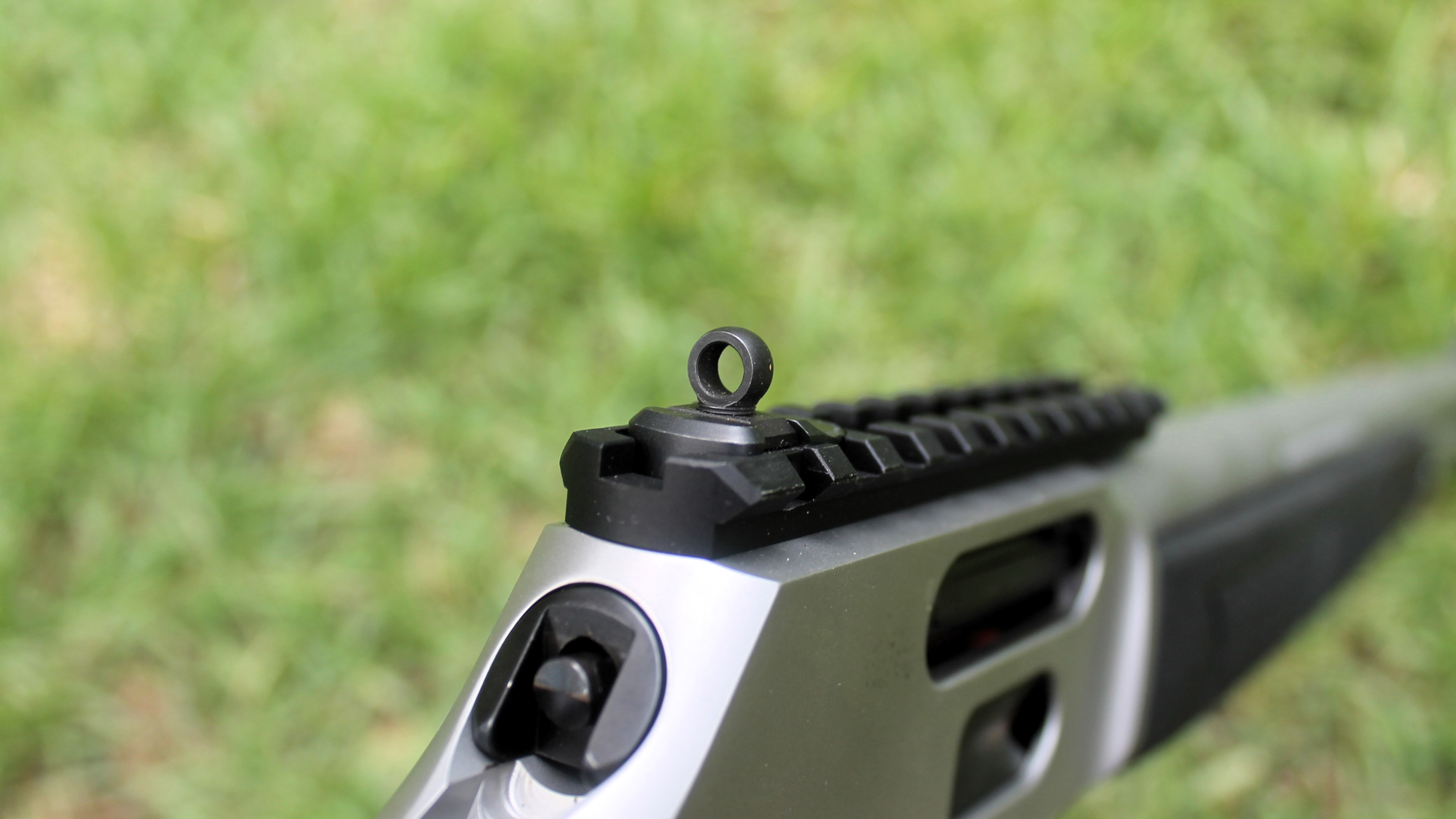 SW Rear Sight