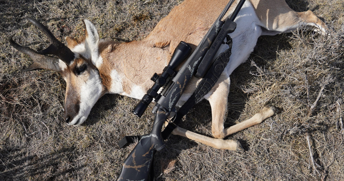 .270 Win. vs. .243 Win. Caliber Battle MeatEater Hunting .270 Win. vs. .243 Win. Caliber Battle MeatEater Hunting