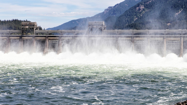 New Oregon Fish and Wildlife Director Talks Wolves, Bears, and Dams in Exclusive Interview