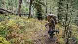 Montana Legislation Would Give Majority of Non-Resident Tags to Outfitted Hunters