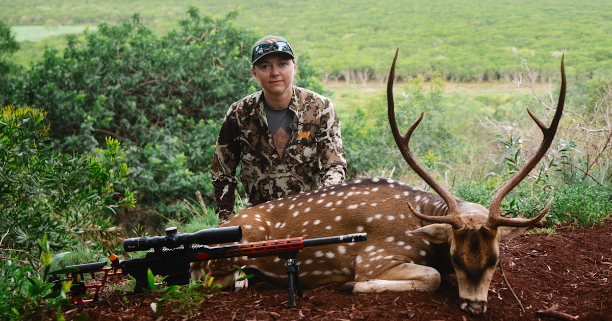 Hawaii Encourages Landowner Participation in Bounty Program to Remove Invasive Axis Deer Hawaii Encourages Landowner Participation in Bounty Program to Remove Invasive Axis Deer