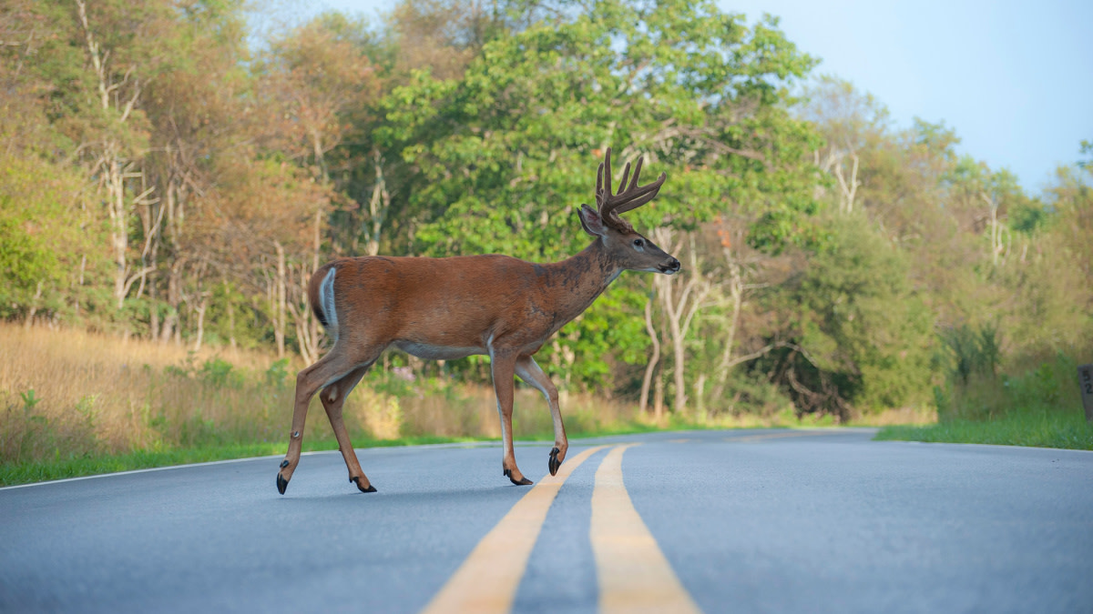 What the Infrastructure Package Means for Hunters and Anglers