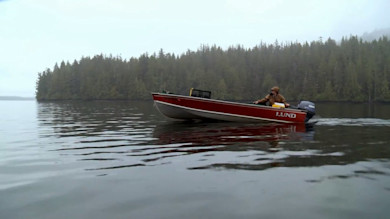 Sea Bear: Alaska Spring Bear and Seafood