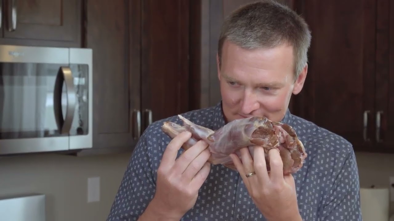 Coyote Pardon My Plate Season 1