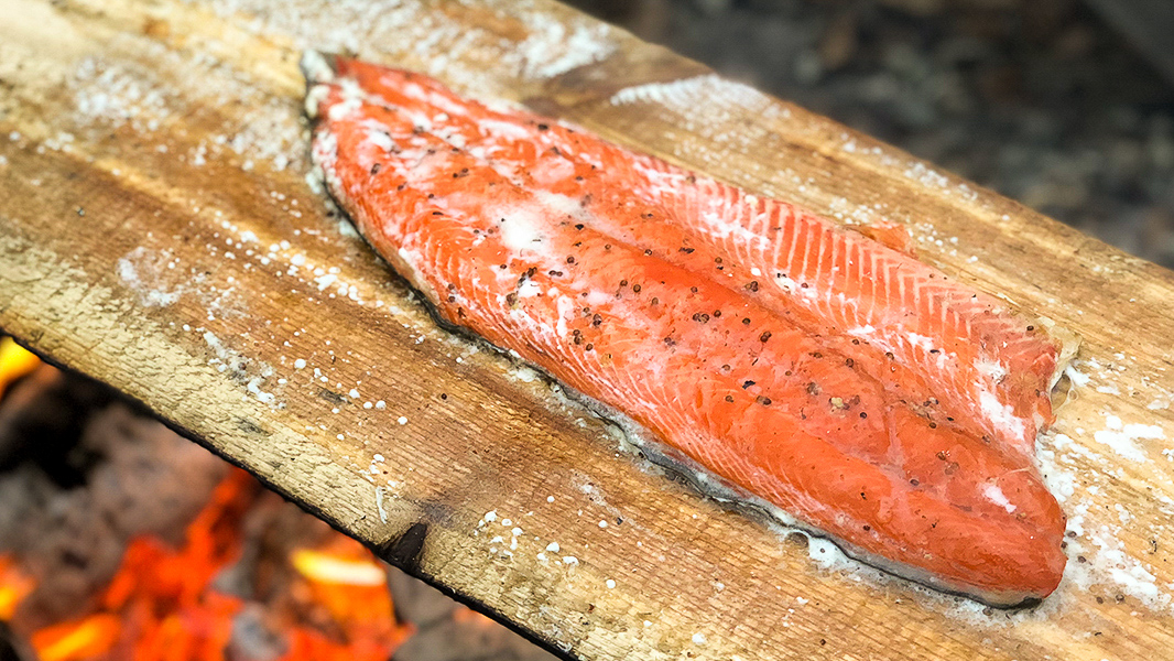 Cedar Plank Salmon Over Fire